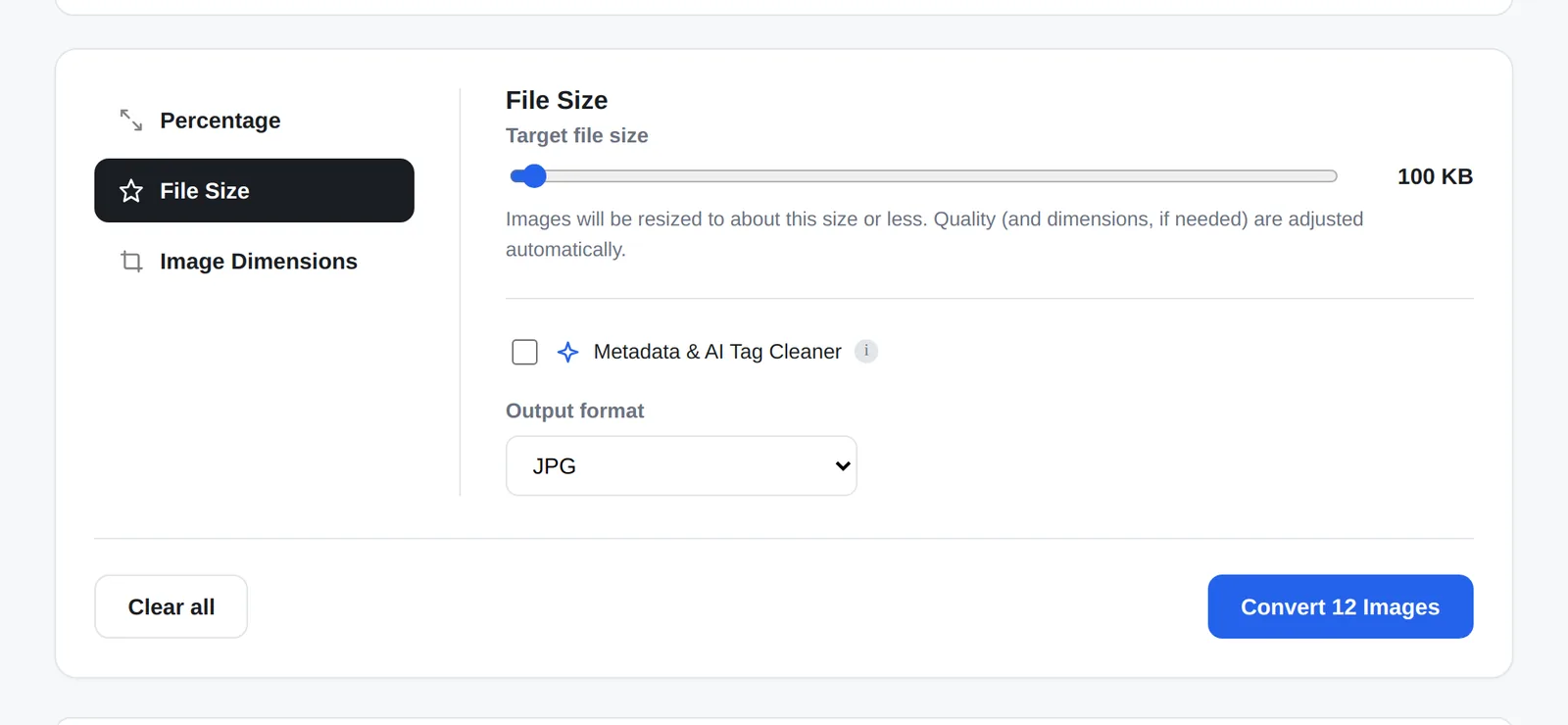 File Size mode set to a 100 KB target in the Bulk Image Converter