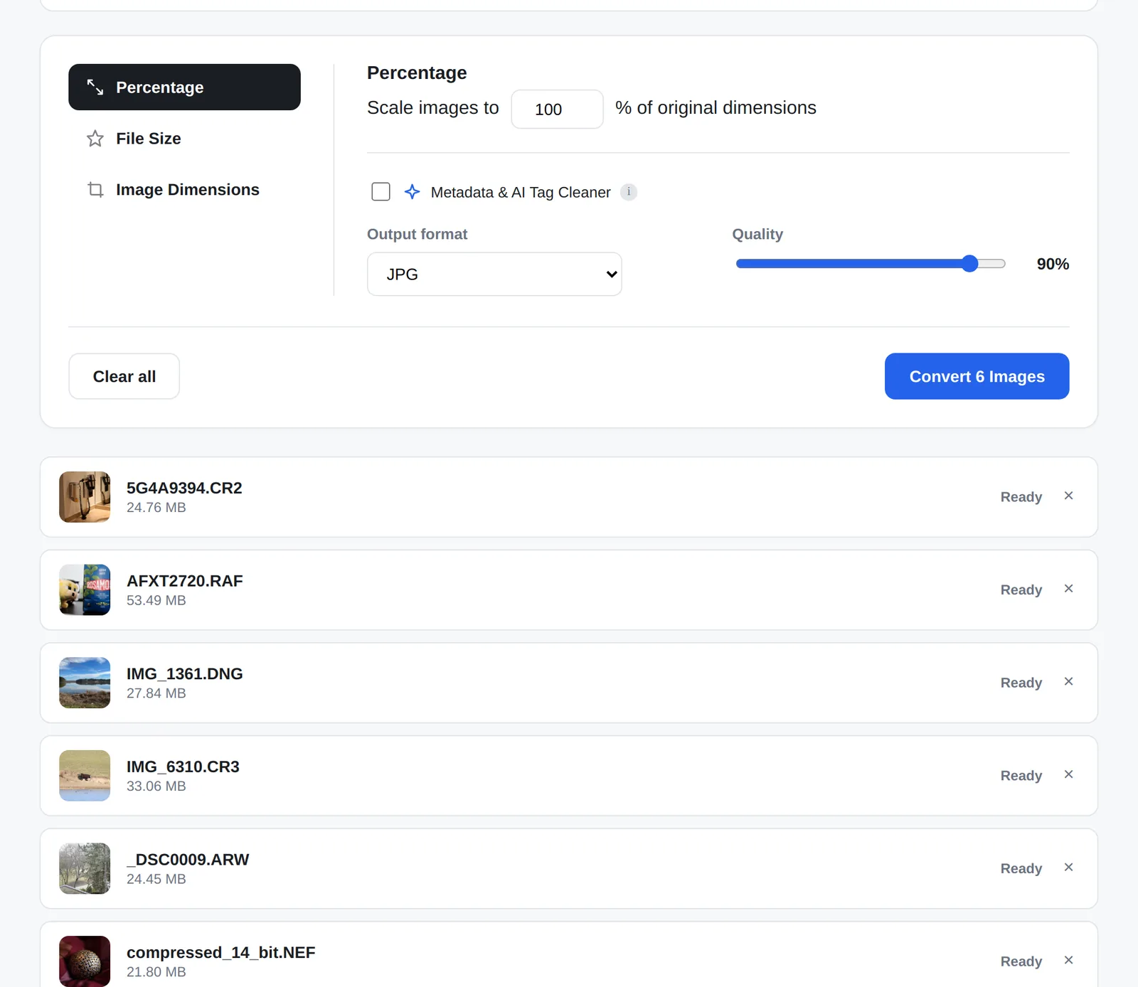 Bulk Image Converter & Optimizer 3 Six camera RAW files (CR2, RAF, DNG, CR3, ARW, NEF) loaded in the Bulk Image Converter with real thumbnails